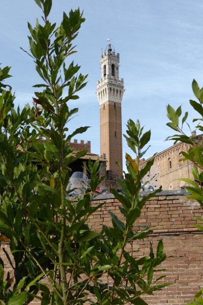 P1010980_Siena.JPG