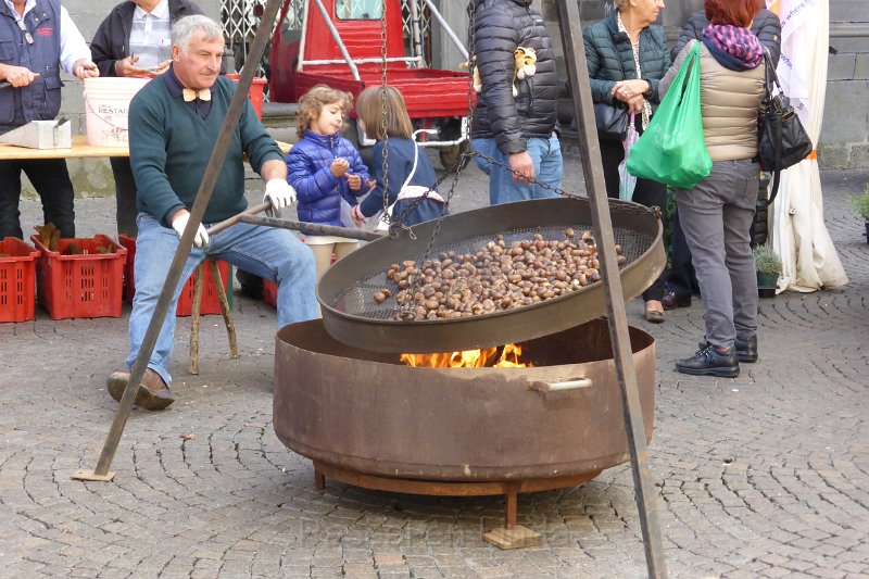 P1020027_Orvieto.JPG