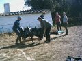 Dag3 0038