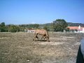 Dag3 0043