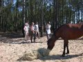 Dag4 3881