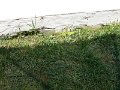 P1020229