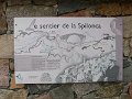 P1050195