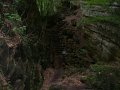 DSCN1807
